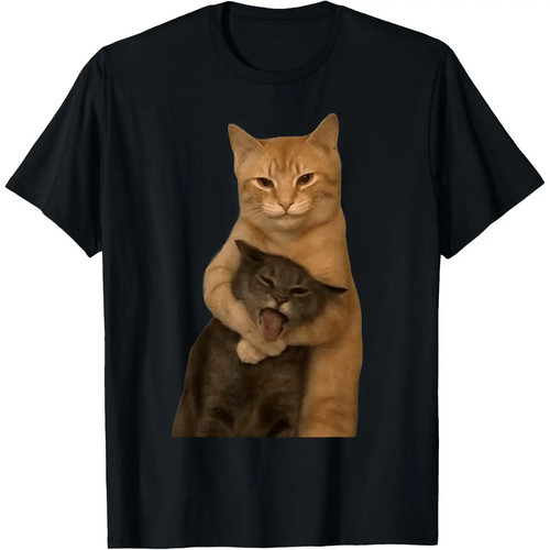 Funny meme cat - cat, siblings